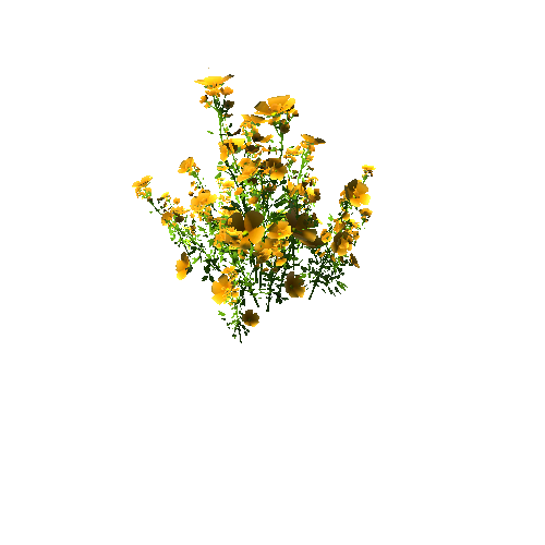 FlowersClump_Yellow B (Optimized)